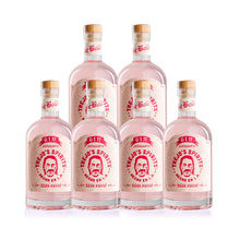 Load image into Gallery viewer, Trejo's Spirits Gin Alternative