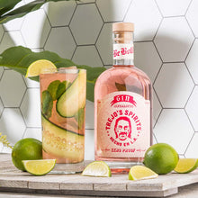 Load image into Gallery viewer, Trejo&#39;s Spirits Gin Alternative
