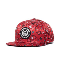 Load image into Gallery viewer, Paisley Hat
